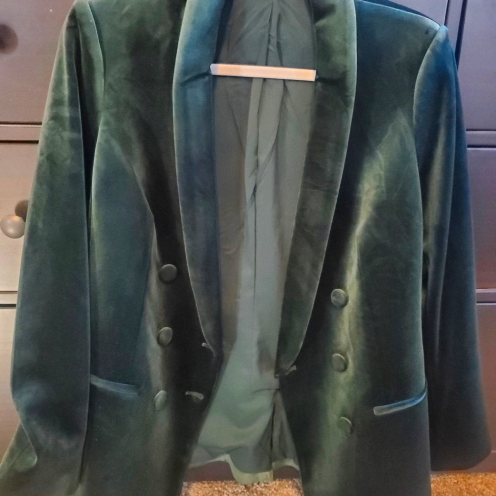 Express Velvet Blazer